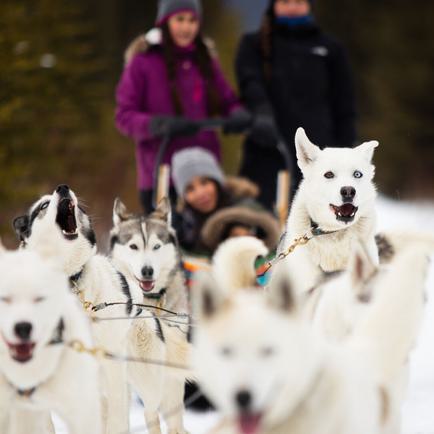 weekly calendar of adventures, foodie, and cultural events in bend